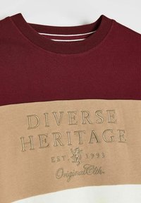 Bluza z kolorowymi blokami w kolorze bordowym, beżowym i białym, z beżowym haftem "Diverse Heritage" oraz "Est. 1993 Original Clth."