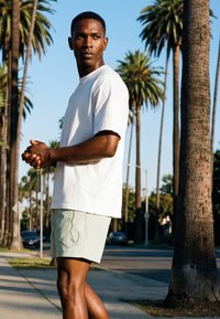 Karl Kani SIGNATURE BOARD - Badeshorts - light green