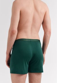 Grüne, enganliegende Boxershorts aus weichem Material. Verfügt über einen markedierten Bund mit dezentem Schriftzug. Glatte Textur und maßgeschneidertes Design.