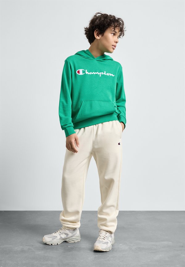 ICONS HOODIE WITH LARGE LOGO - Hoodie2