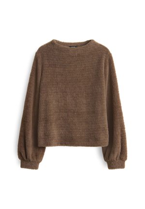 Bruine, fluffy pullovertrui met lange, geraffineerde mouwen en een ronde halslijn. Zachte textuur, cropped ontwerp en minimalistische details.