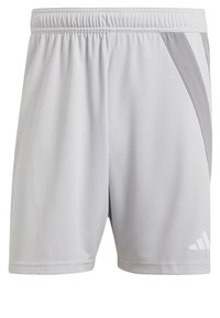 Ljusgråa träningsshorts tillverkade av lättviktig tyg. Har ett elastiskt midjeband och en mörkgrå sidodel med vit branding.