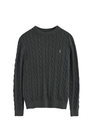 Suéter de punto gris oscuro con un patrón de trenzado, cuello redondo y puños y dobladillo de canalé. Pequeño logotipo en el pecho.