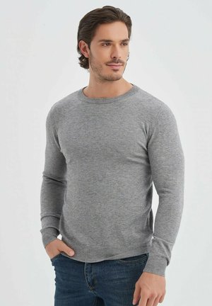 Pull en tricot gris en matière douce avec un col rond, des manches longues et des poignets et un ourlet côtelés, porté sur un jean bleu.