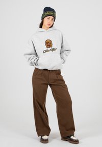 Felpa grigia con logo stampato, abbinata a pantaloni larghi marroni. Modello con un berretto scuro con testo ricamato. Sfondo bianco uniforme.