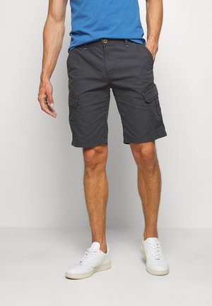Shorts - grey