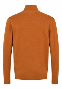 U.S. Polo Assn. BRISON HALF ZIP - Džemperis - pumpkin spice melange