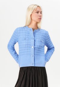 Šviesiai mėlynas megztas kardiganas su tekstūriniu tinkleliu, apvaliu kaklu ir priekyje esančiu mygtukų užsegimu. Yra ilgomis rankovėmis ir raštuotais rankogaliais.