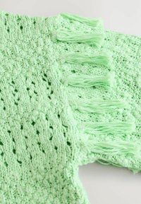 Helles grünes gestricktes Tuch mit einem offenen Muster undFransenakzenten entlang der Kanten. Weicher, strukturierten Stoff sorgt für visuelle Interessante.