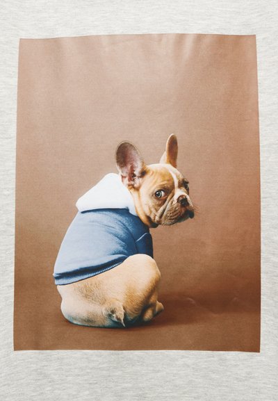 Illustrazione di un Bulldog Francese color nocciola che indossa una felpa blu con colletto bianco, seduto di lato su uno sfondo marrone.