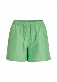 Costumi da bagno verde chiaro realizzati in materiale liscio e leggero. Presentano una vita elasticizzata, un cordoncino e tasche laterali.