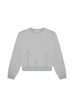 Grauer, kurzgeschnittener Pullover mit langen Ärmeln, rundem Halsauschnitt, gerippten Bündchen und Saum, aus einem weichen Stoff mit glatter Textur. Einfaches und vielseitiges Design.