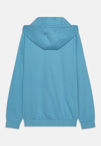 Ljusblå hoodie med dragsko i huvan, långa ärmar och ribbade muddar och nederkant. Slät textur, minimalistisk design, inga synliga logotyper.