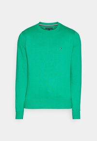 Felpa in cotone verde con collo rotondo, maniche lunghe e polsini a coste. Presenta un piccolo logo sul petto e una superficie liscia.