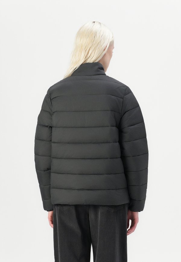 WIND BLISS - Winter jacket - phantom3