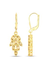 Gouden oorbellen met een bladontwerp, voorzien van marquise-vormige gele edelstenen. De haak is een leverback met een textuuraccent.