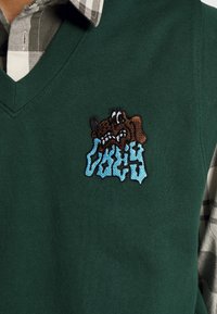 Grön stickad väst med V-ringning, med en broderad brun hund och en stiliserad blå textdesign på vänster bröst. Rutig skjorta synlig under.