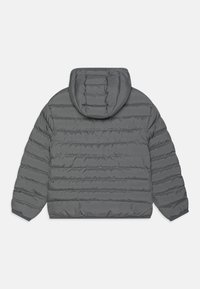 Nike Sportswear UNISEX - Zimska jakna - smoke grey/white