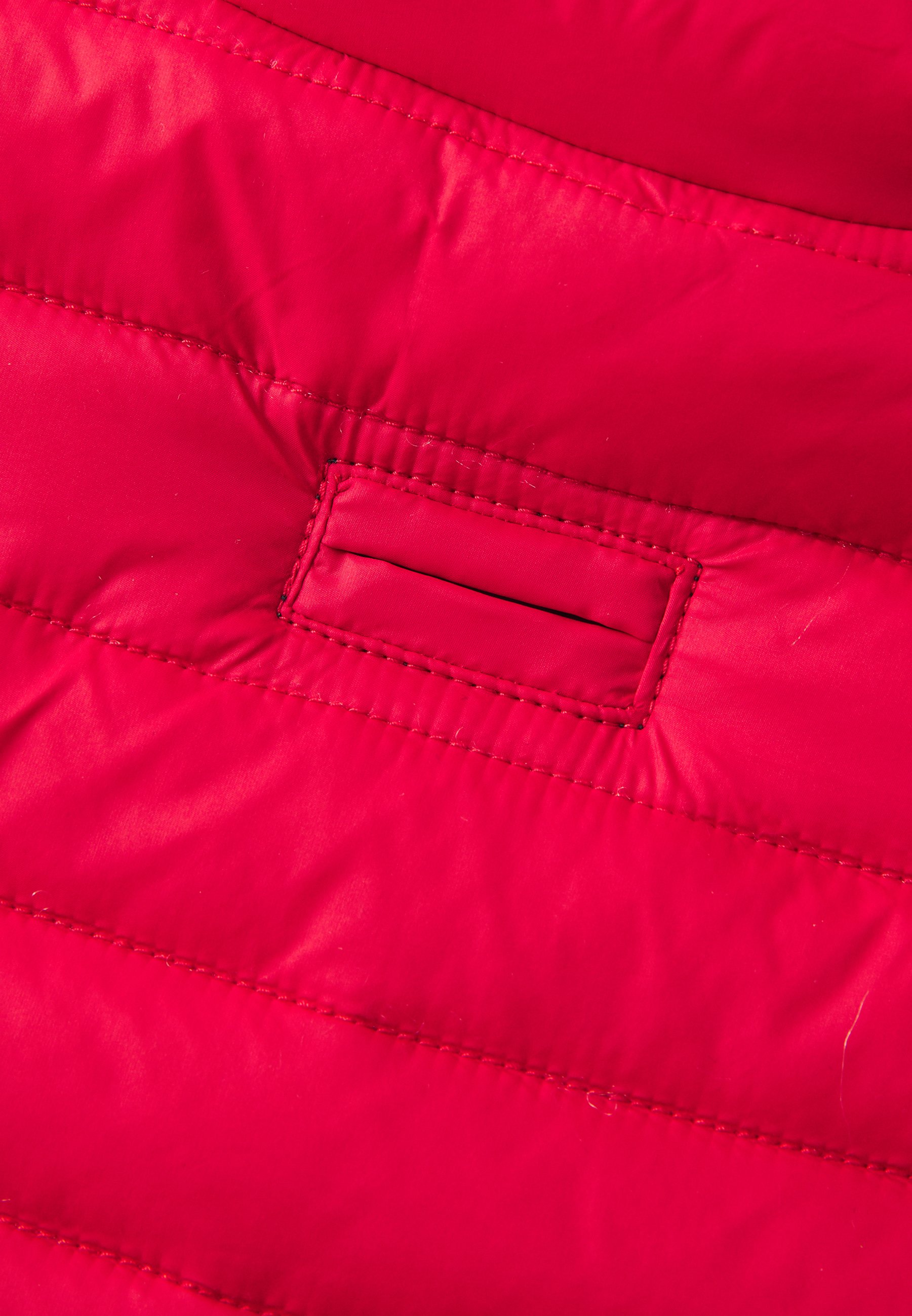 Polo Ralph Lauren - Akcesoria dla zwierząt/czerwony - Zalando.pl