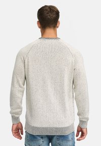 Lichtgekleurde gebreide trui met geribbelde manchetten en zoom, voorzien van een subtiele gespeckelde textuur. Achteraanzicht, met raglanmouwen en ronde halslijn.