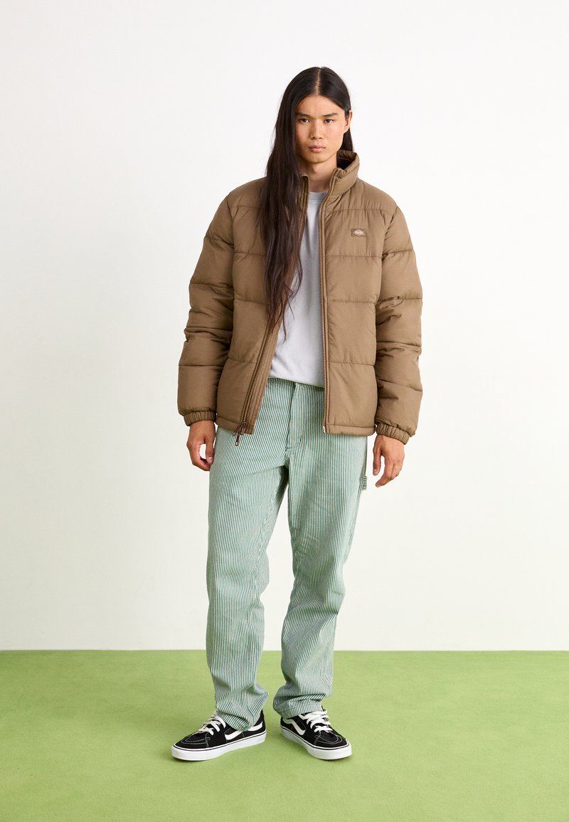 Dickies WALDENBURG JACKET - Zimní bunda - mushroom