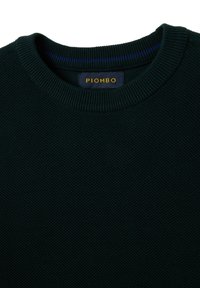 Maglione lavorato a maglia verde scuro con colletto girocollo, tessuto testurizzato e un'etichetta con il nome del marchio "PIOMBO" in caratteri dorati.
