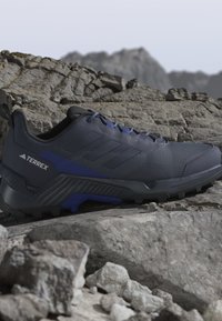 Tmavomodrá a čierna turistická obuv Adidas Terrex umiestnená na drsnom skalnatom teréne s rozmazaným horským pozadím.