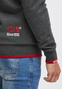 Grijze sweatshirt met rode accenten. Bevat geborduurde branding "!SLD" en "Sinds 1993" aan de zijkant. Ribgebreide manchetten en zoom. Draagt met blauwe jeans.