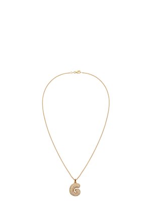 CHUNKY SPAKRLING INITAL G  - Halskette - gold-coloured