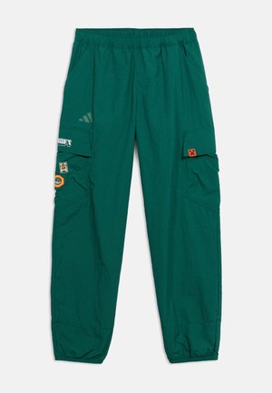 adidas Terrex MINECRAFT UNISEX - Pantalon de survêtement - collegiate green