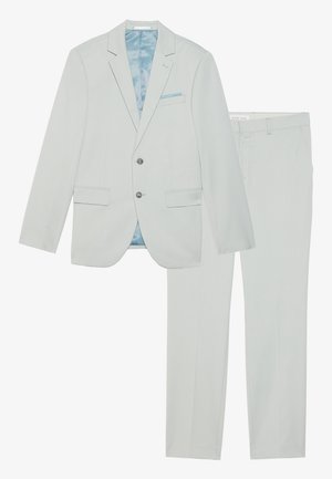 Light gray suit consisting of a two-button blazer and flat-front pants, featuring a smooth texture and subtle accents, with a blue lining.