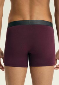 Bordowe bokserki z szarym elastycznym pasem. Wykonane z gładkiego materiału, charakteryzują się dopasowanym krojem i minimalnym przeszyciem.