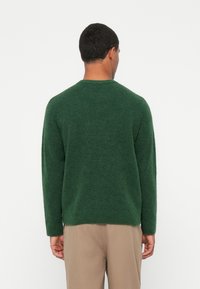 Pullover verde de lã com decote redondo, mangas longas e um acabamento suave e texturizado. O design apresenta um corte relaxado e bainha canelada.