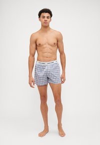 Boxershort met een blauw-wit ruitpatroon, voorzien van een elastische tailleband met de merknaam in het zwart. Gemaakt van lichtgewicht katoen.