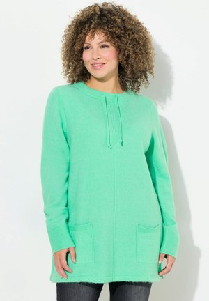 Maglione a maglia verde menta con cappuccio regolabile, maniche lunghe e due tasche frontali. Tessuto morbido con polsini e orlo a costine.