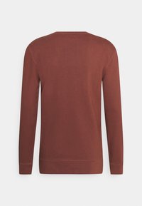 Maglione a maniche lunghe color ruggine, in misto cotone, con scollatura a girocollo, polsini e orlo a coste, texture liscia, design minimalista, vista posteriore.