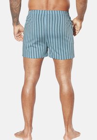 Blaue gestreifte Schwimmshorts mit elastischem Bund, die vertikale schwarze Streifen und ein tailliertes Design aufweisen, von hinten gezeigt.