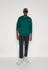 Sweatshirt verde com logótipo, combinado com calças escuras e sapatilhas desportivas cinzentas. Modelo a usar óculos de sol escuros, em pé sobre um fundo simples.