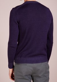 Pull homme violet en tricot avec une finition texturée, poignets et ourlet côtelés, doté d'un col rond classique et d'une silhouette ajustée.