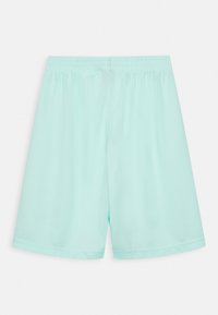Jordan Calções desportivos - mint foam