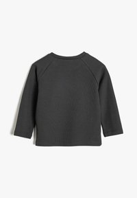 Sudadera de niño pequeño de manga larga en gris oscuro, con canalé y cuello redondo, vista desde la parte posterior sobre un fondo blanco.