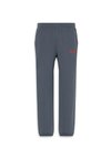 SPORT JOGGER INTENSE POWER - Pantaloni sportivi - turbulence