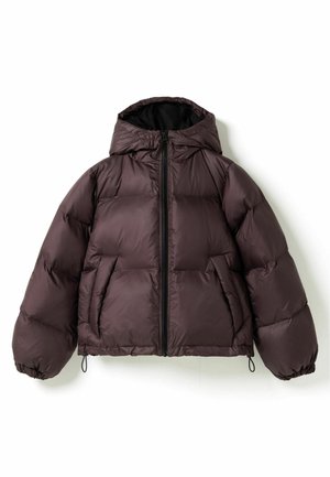 Noella, N-MERCI JACKET - Veste d'hiver - winter bloom