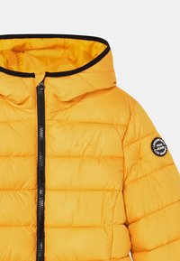 Pepe Jeans AMBER - Vinterjacka - colemans