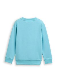 Sweatshirt bleu clair avec des manches longues, un col rond, et des poignets et un ourlet en côtes, fabriqué à partir d'un tissu doux et lisse.
