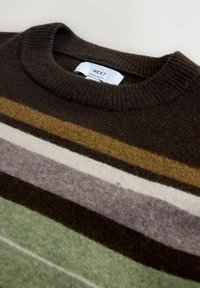 Brown striped sweater with a ribbed crew neck. Features horizontal stripes in shades of brown, olive, cream, and green. Tag visible.