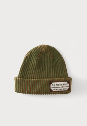 Bonnet en maille côtelée vert et marron avec revers plié et écusson rectangulaire étiqueté "The North Face Mountaineering Specialists."
