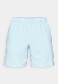 PRESTON SHORTS - Calções desportivos - winter sky