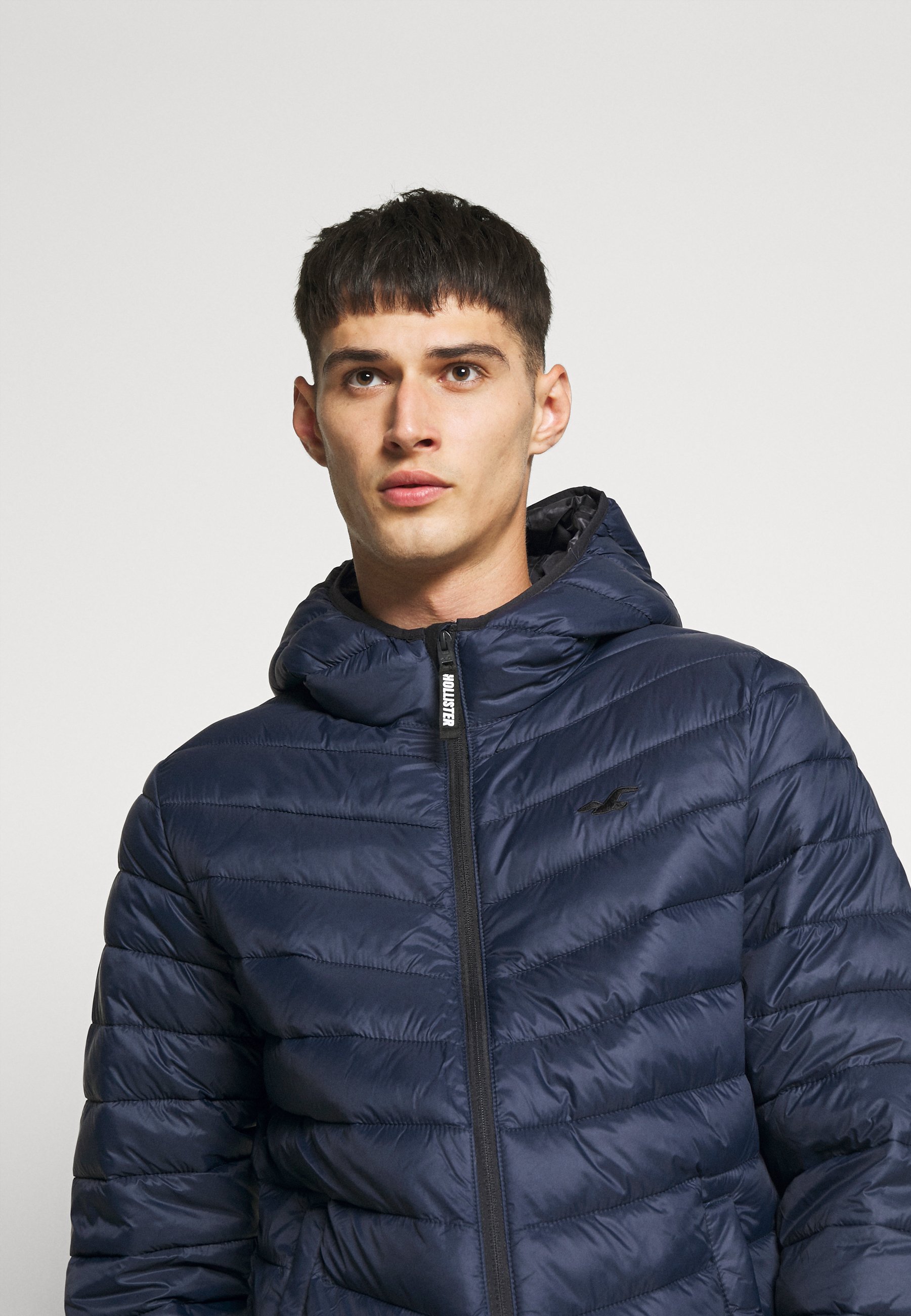 Hollister Co. Winterjas navydonkerblauw Zalando.nl Hollister Co. Winterjas navydonkerblauw Zalando.nl