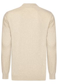 Beige gebreide trui met lange mouwen, geribbelde manchetten en een ronde hals. Gladde textuur en eenvoudig ontwerp zonder versieringen. Achteraanzicht.